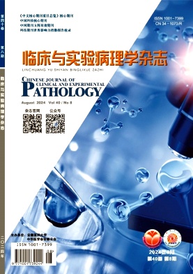 临床与实验病理学杂志封面
